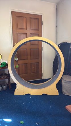Cat wheel