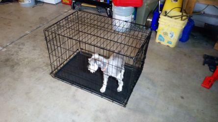 Medium Wire Crate With Tray 