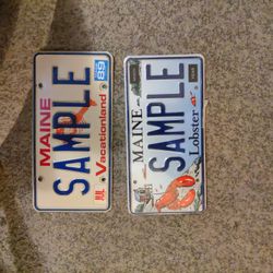 Two Vintage Maine Sample Plates