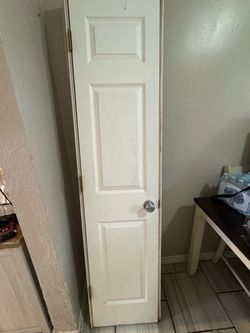 Door 18x78 1/2