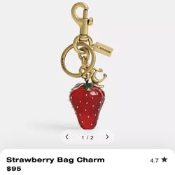 COACH Strawberry Bag Charm DDUUPPEE