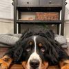 MarlinVault.Co