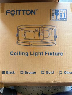 Foitton Black Ceiling Light Fixture