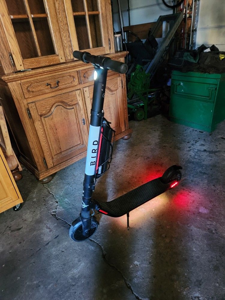 Segway Scooter