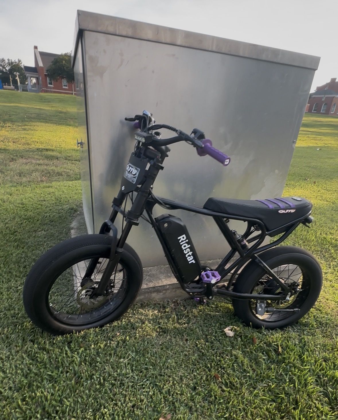 Purple And Black Ridstar Q20 1000w