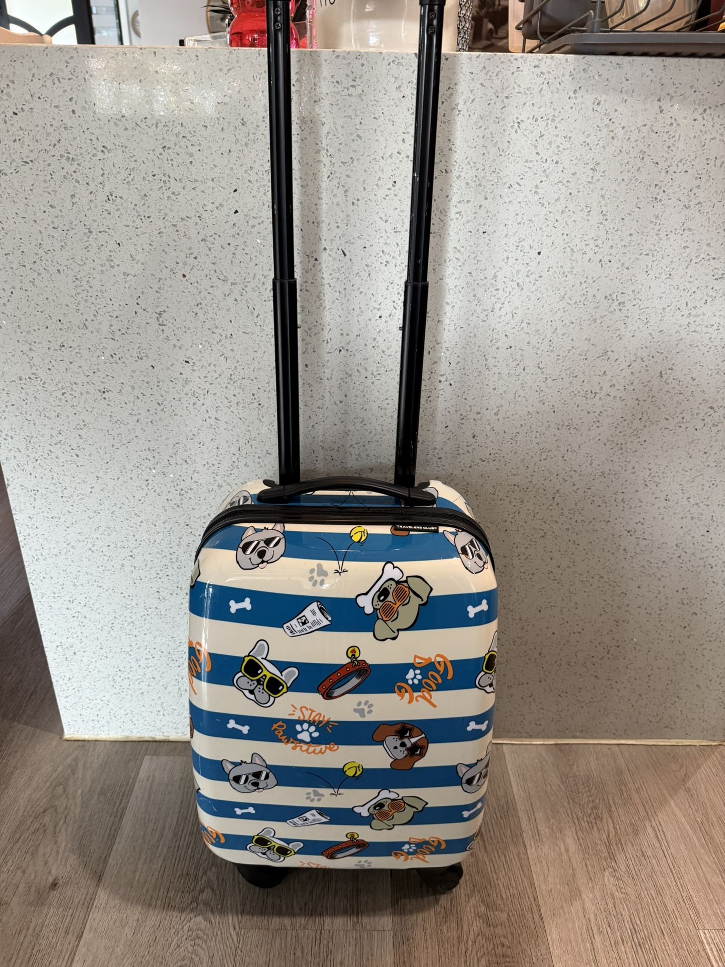 Travelers Club kids small luggage (excellent condition)