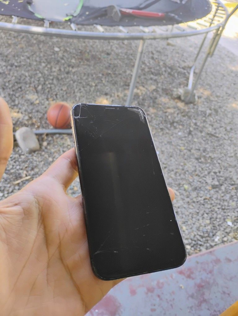 iPhone X