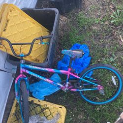 Blue And Pink Bike 