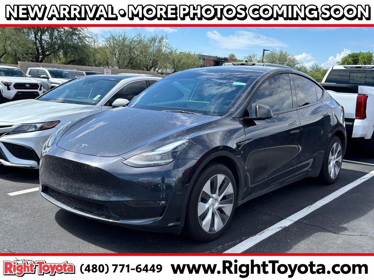 2024 Tesla Model Y