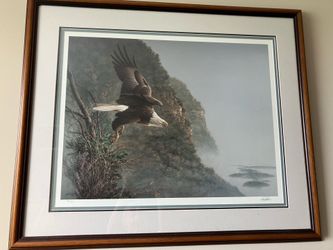 Bald Eagle  by Les Didier