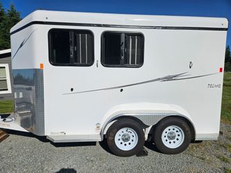 2017 Fabform Deluxe 2 horse trailer with all the bells & whistles!