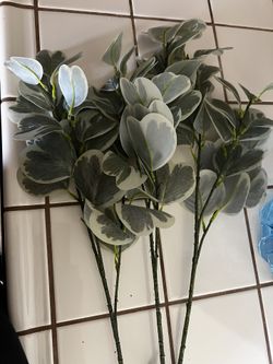 Decorating