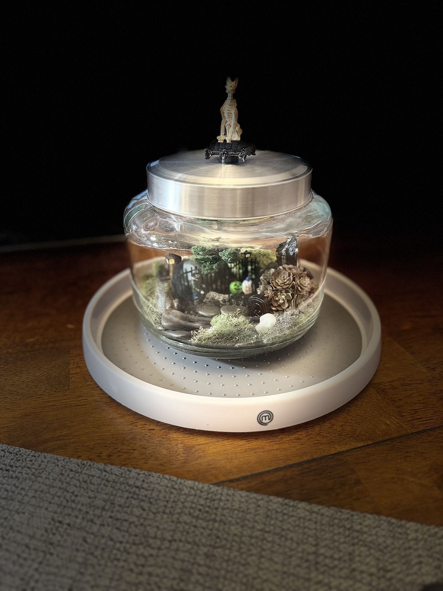 Gothic/Halloween Decor Terrarium. One-of-a-kind $40