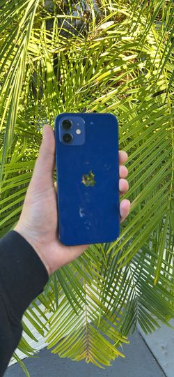 iPhone 12 - Unlocked - 256GB