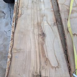 Live Edge Wood Slabs