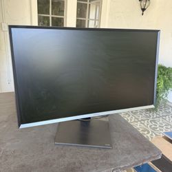 Professional Monitor 