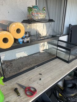 Tanks fish and reptile