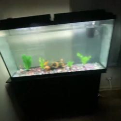 65 Gallon Fish Tank Set 