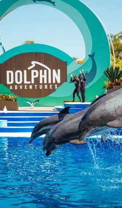 Seaworld tickets