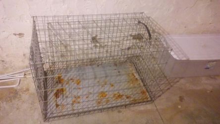 Medium dog cage