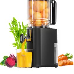 Cold Press Juicer, 5.5inch Wide Feed Chute Juicer Machine, Slow Masticating Juicer for Whole Vegetables & Fruits, Black