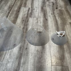 Pet Cones
