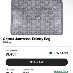 Goyard Bag 