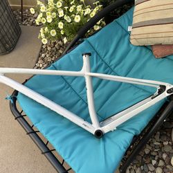 2023 Specialized Fuse Aluminum Frame-LARGE