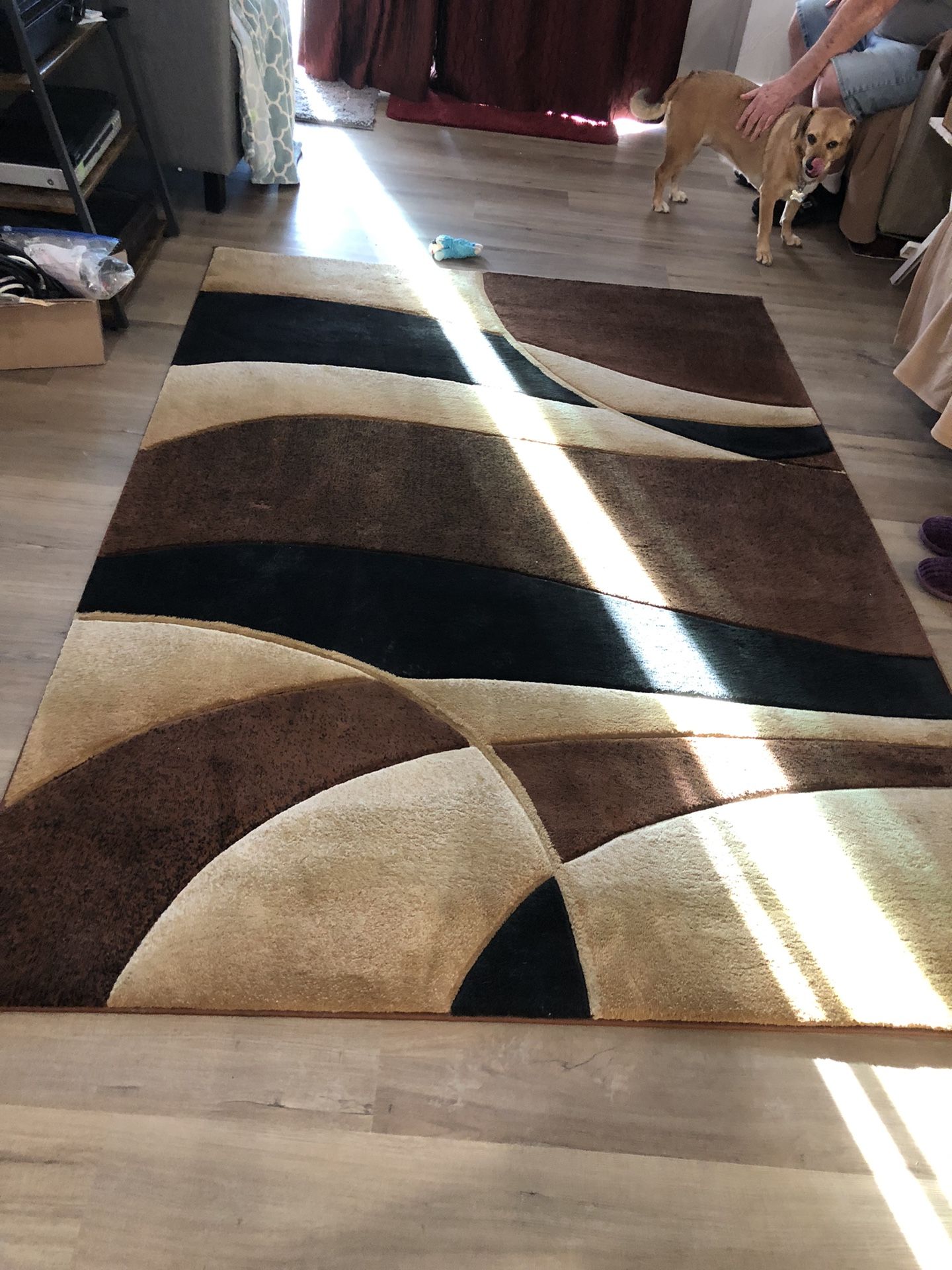 Area Rug
