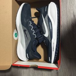 Nike Peg (patriot Team) Size 10