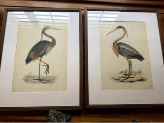 Wood framed portraits of birds