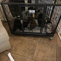 Casa De Kennel 