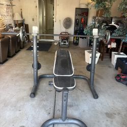 Workout Bench Press 
