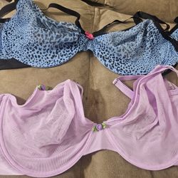 Parade Lingerie 