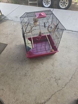 Bird Cage