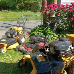 Lawn Mower For Sale Toro and Cub Cadet