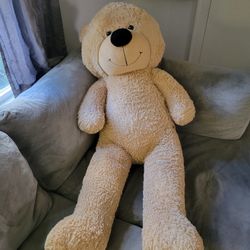 Giant Teddy Bear! In Terrific Shape! 