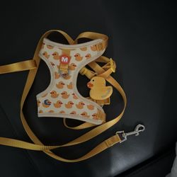 Dog Clothes And Accessories 