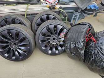 Tesla rims and tires P-Zero