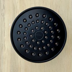 4” Moen Shower Head