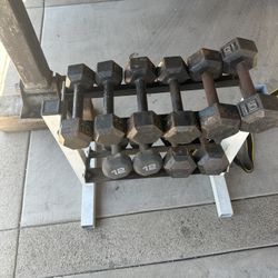 Weight Stand And Weights With Bench 