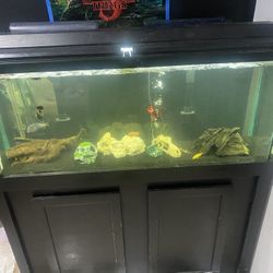 55gal Fish Tank With Stand