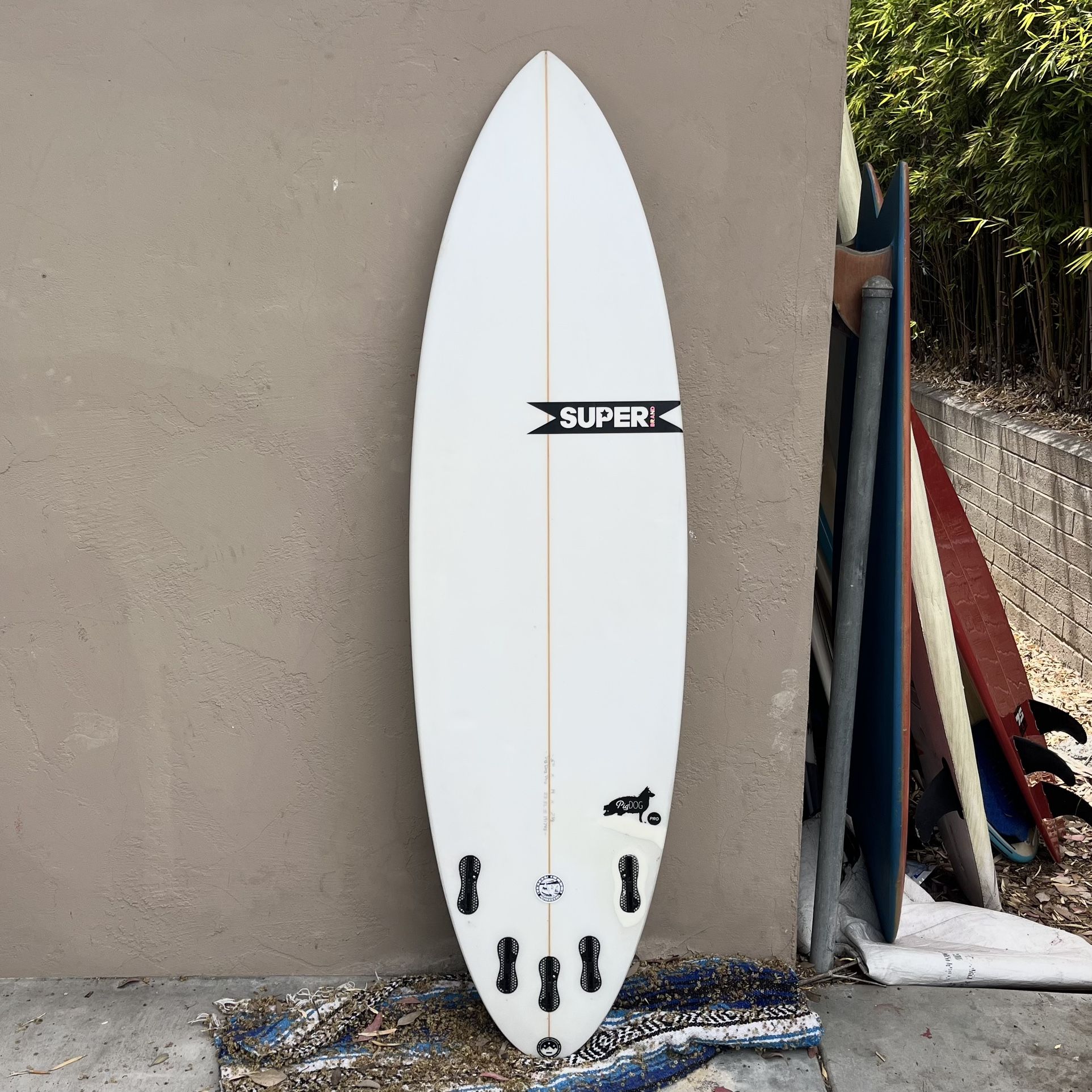 SB surfboard 'Piggy' 5'9 PU 在庫残りわずか - sriviswasanthischools.in