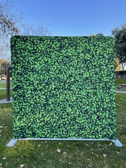 Premium Quality Backdrops Pillow Case