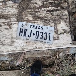 Texas Plate