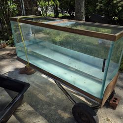 75 Gal.aquarium And Stand