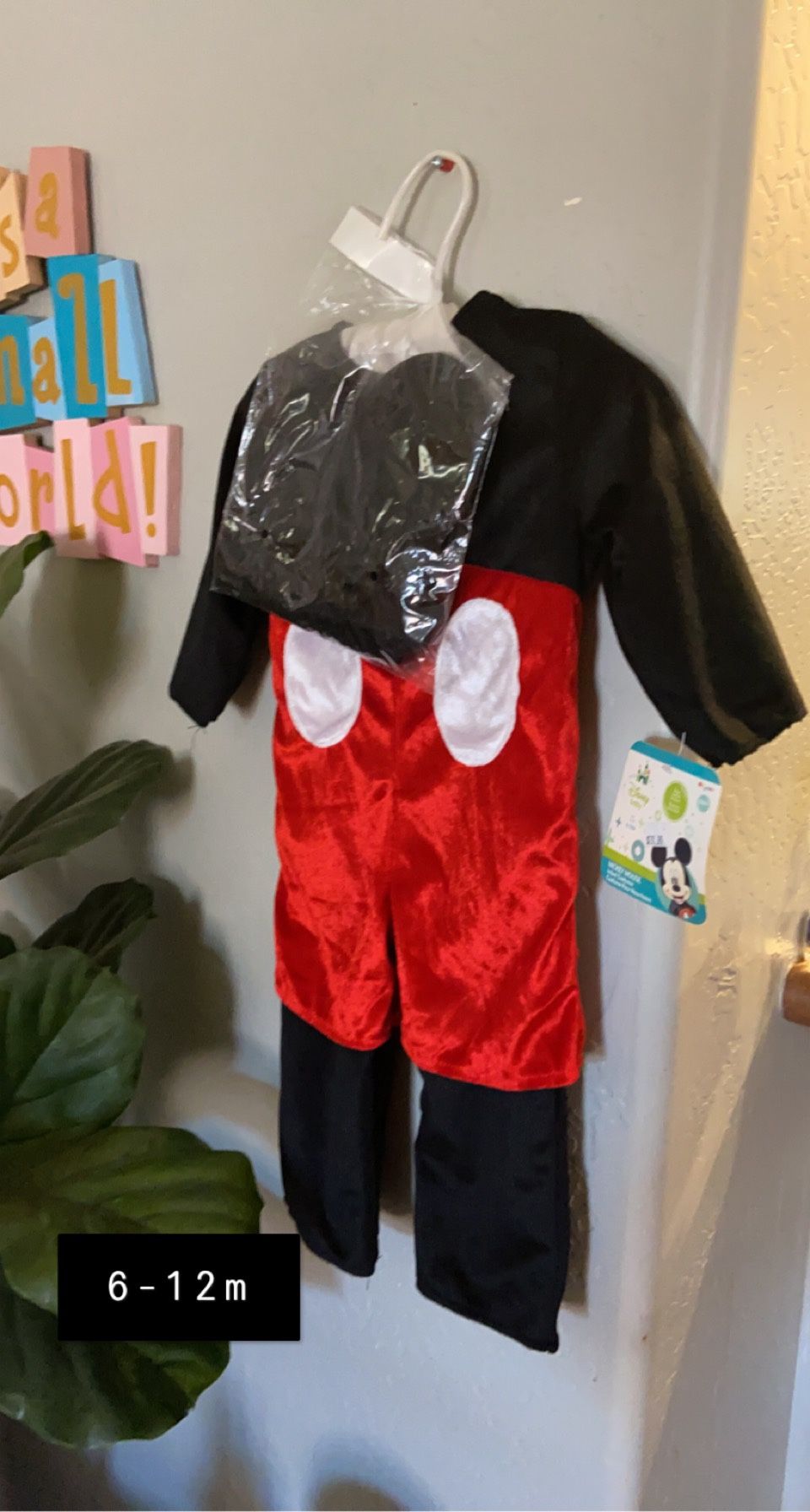 Mickey mouse Costume