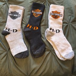 Harley Davidson Socks 
