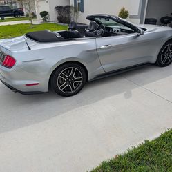 2021 Convertible Ecoboost Premium Mustang