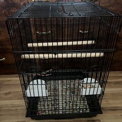 Bird Cage